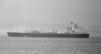 T - GANDARA   7-5-1979.jpg