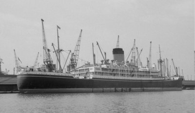 T - GOTHIC   1969.jpg