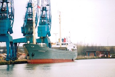 Kormoran.jpg