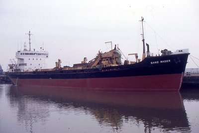 SAND WADER 110395a.jpg