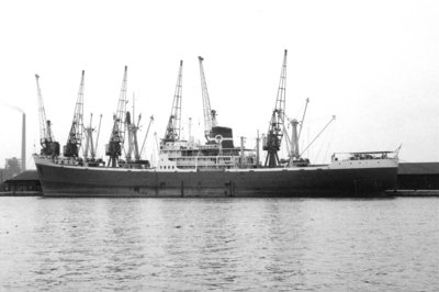 T - ILESHA PALM   6-7-1969.jpg