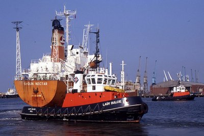 LADY DULCIE 200589a.jpg