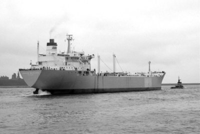 T- LAGOVEN SANTA RITA   4-4-1978.jpg