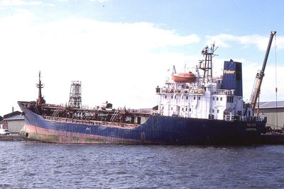 TEES FISHER 180401a.jpg