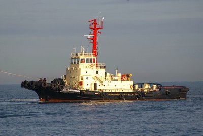 LADY BRENDA 051007.b.jpg