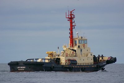 LADY BRENDA 081007.d.jpg