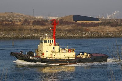 SVITZER BRENDA 160208b.jpg