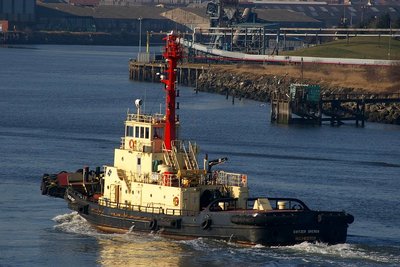 SVITZER BRENDA 160208h.jpg