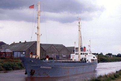 KORMORAN 080700a.jpg