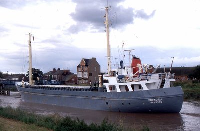 KORMORAN 080700b.jpg