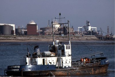 GUERNSEY III 140579a.jpg