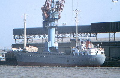 1120kormoran.jpg