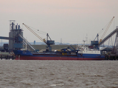 SWANDIANA030208C.jpg