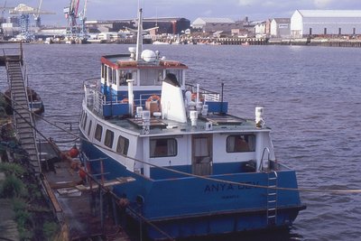 ANYA DEV 191194a.jpg