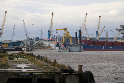 Tiger & Fernao De Magalhaes, 28 November 2015 (1)_1.JPG