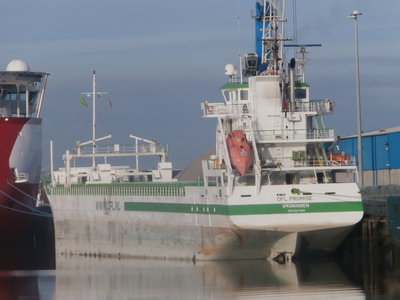 cfl promise light.JPG