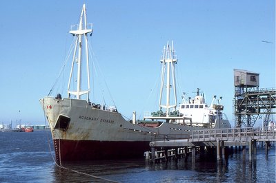 ROSEMARY EVERARD 170681b.jpg