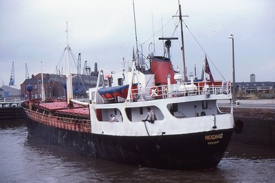 MOGARD 140681a.jpg