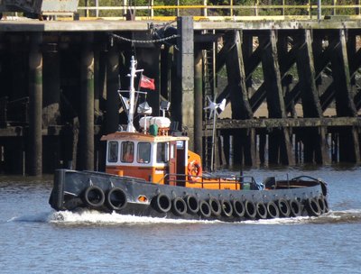 21) Amber Rose (01.09.15).jpg