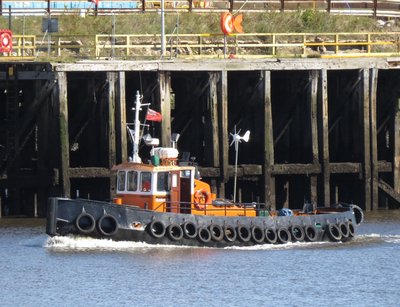 24) Amber Rose (01.09.15).jpg