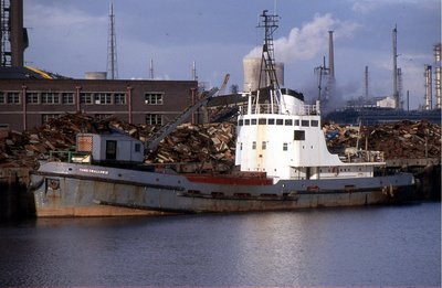 SAND SWALLOW III 031189a.jpg (266.7 KiB) Viewed 17975 times SAND SWALLOW III 031189a.jpg