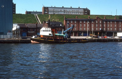 Tynesider, 2 May 1981 _2_1.jpg