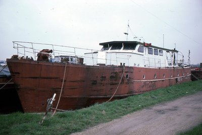 FJELLGAR SENIOR 090586a.jpg