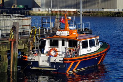 TEES SENTINEL 030216a.JPG