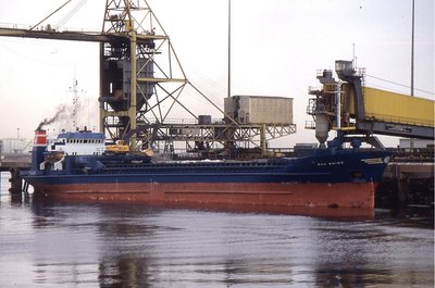 BOA RHINO 12.03.98.jpg