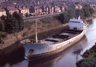 HAWTHORN 150779a.jpg