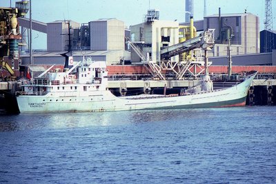 HAWTHORN 020282a.jpg