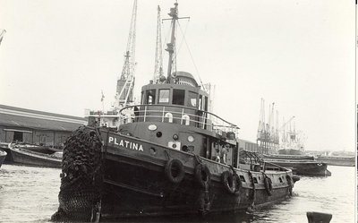 PLATINA1952.jpg