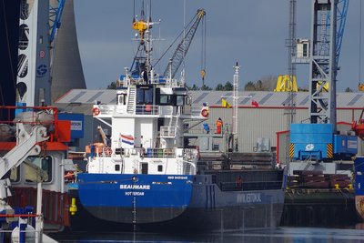 BEAUMARE 010316a.JPG