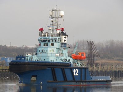 11) Thorax (14.12.15).jpg