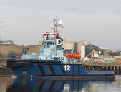 14) Thorax (14.12.15).jpg