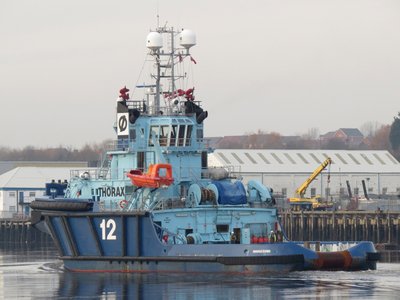 17) Thorax (14.12.15).jpg