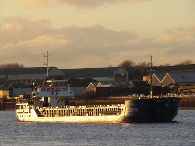 02) Nestor (18.02.16).jpg