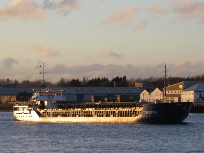 05) Nestor (18.02.16).jpg