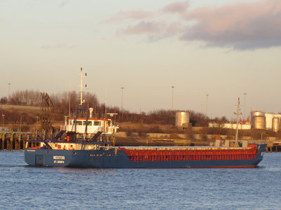 08) Nestor (18.02.16).jpg