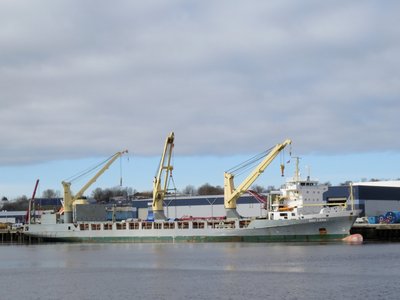 15) BBC Lena (07.03.16).jpg