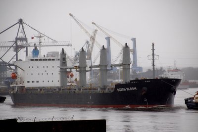 02) Ocean Bloom (07.01.16).jpg