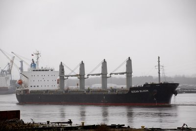 04) Ocean Bloom (07.01.16).jpg