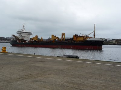 Falcon2.jpg