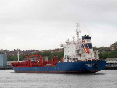 21) Mississippi Star (13.05.16).jpg