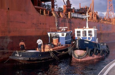 KIELO-CHERRY 310888a.jpg