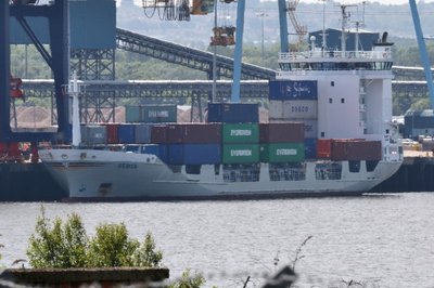 Gerda, 9113745, 23 June 2016 (2)_1_1.JPG