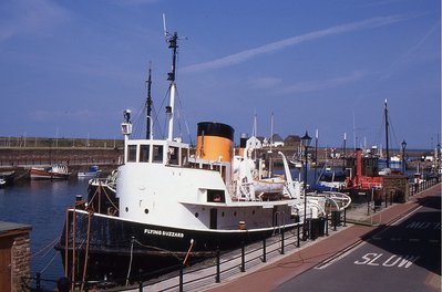 FLYING BUZZARD 140896a.jpg