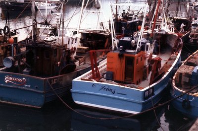 Venus (FR79) when new, lying at Whitby Fish Quay.jpg