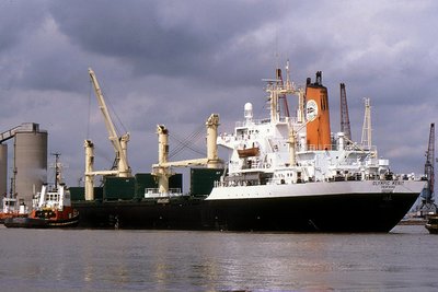 OLYMPIC MERIT 160794c.jpg