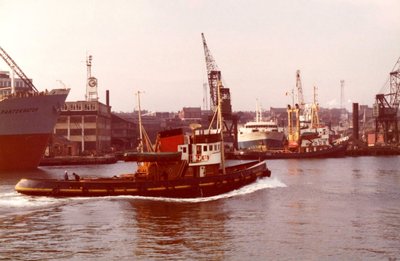 Quaysider 1977.jpg